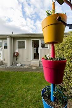 Accent On Motor Taupo